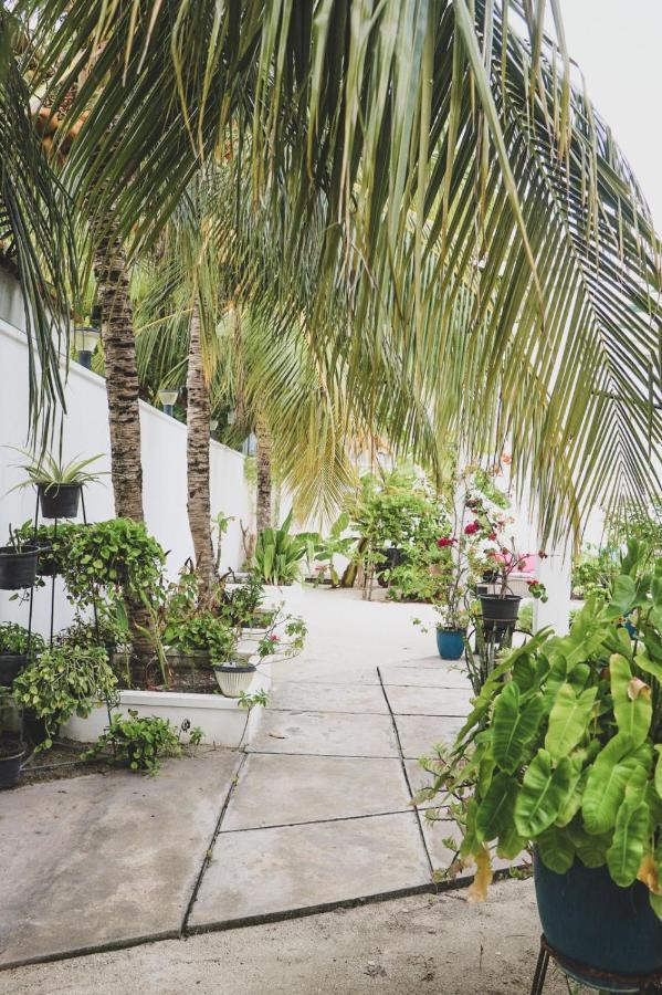 Fiyala Homestay Addu City ภายนอก รูปภาพ